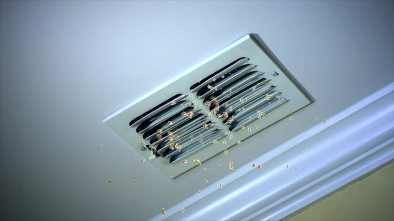 Best Residential Air Duct Cleaning  in Iota, LA