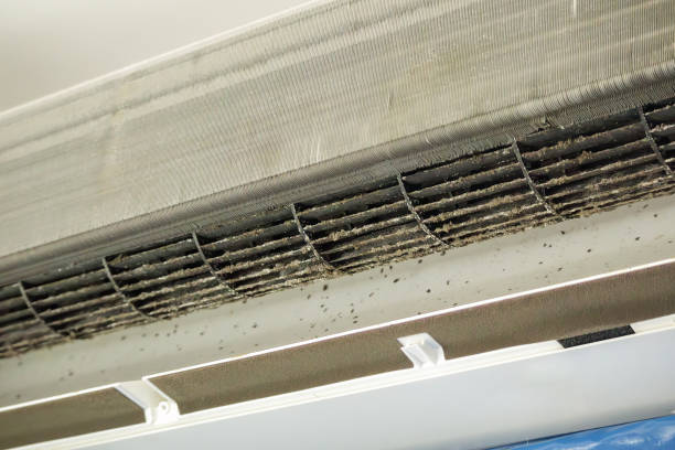 Best HVAC Air Duct Cleaning  in Iota, LA